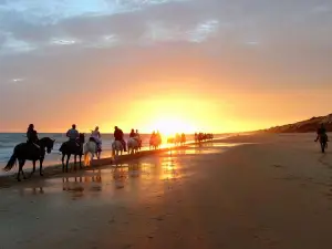 Sunset Horseback Riding in Puerto Plata
