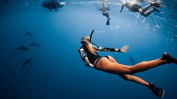 HonoluluExperiences