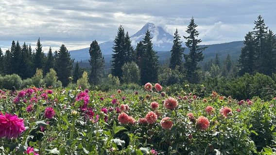 PortlandTours