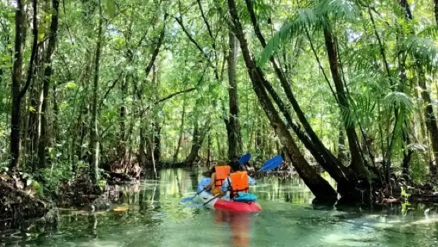 Mirror Lake Krabi + kayaking adventure, with optional upgrades for swimming/elephant bathing/ATV/elephant riding