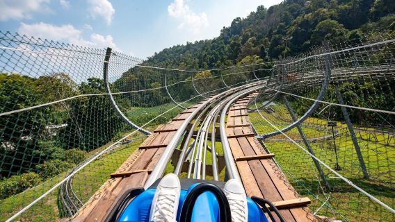 Chiang Mai Jungle Coaster and Zipline Adventure at Pongyang