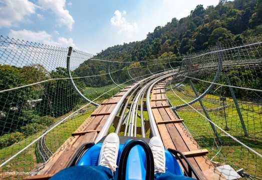 Chiang Mai Jungle Coaster and Zipline Adventure at Pongyang