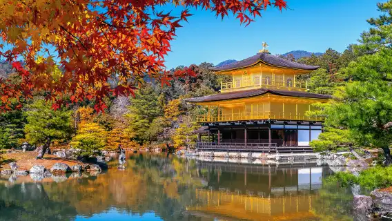 ทัวร์วันเดียว/ทัวร์หลายวัน วัดคินคะคุจิ + อาราชิยามะ + วัดซันจูซังเก็นโด + วัดคิโยมิซุเดระ [รวมอาหาร]