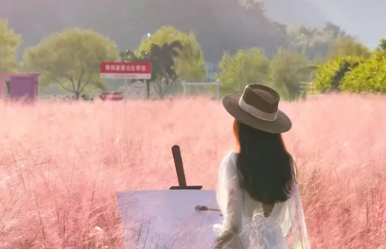 私家團上門接送+清遠洞天仙境+峯林曉鎮四季花海一日遊+含門票