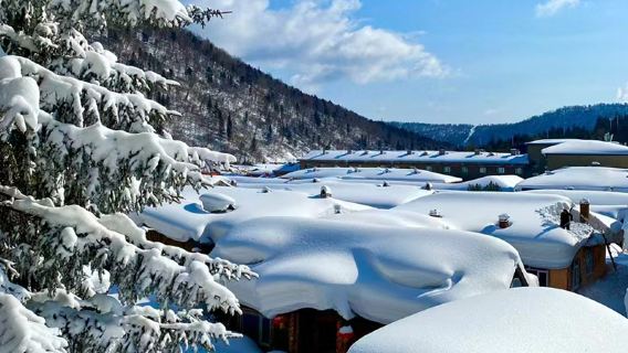中國雪鄉一日遊6人小團贈馬拉爬犁+大禿頂子山 雪鄉馴鹿園