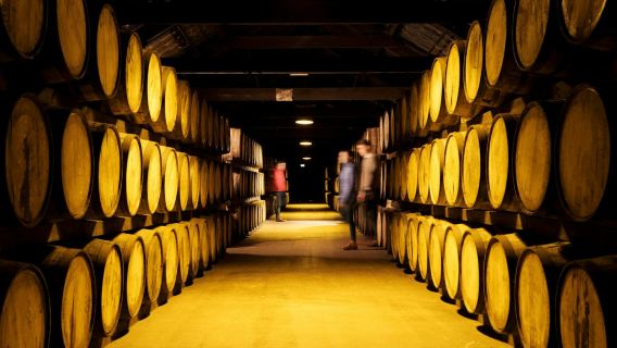 Midleton Distillery (Jameson): Behind-the-Scenes Guided Tour