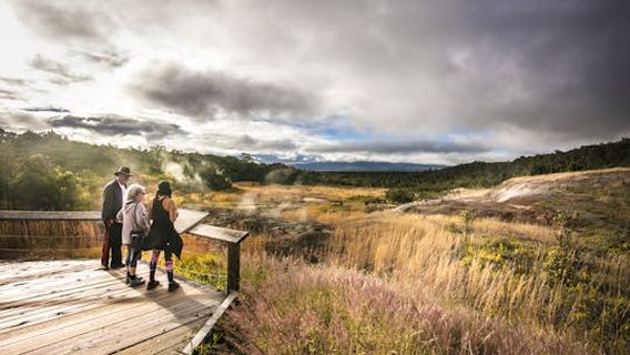 The Big Island (Hawaii island)Tours