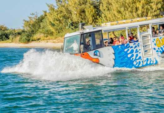 Quack'R'Duck Gold Coast: Amphibious Vehicle Tour from Surfers Paradise AUD 57.95