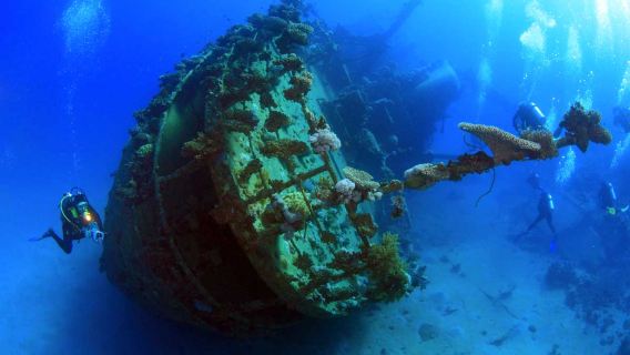 IndonesiaBaliTulamben ImmersioniScopri le immersionisubacqueaUn giorno [Esplorazione iconica del relitto della Liberty]