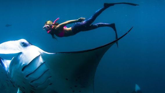 Tour di snorkeling e costa occidentale dell'isola di Manta Point a Nusa Penida