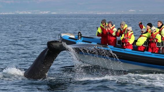 Husavik
