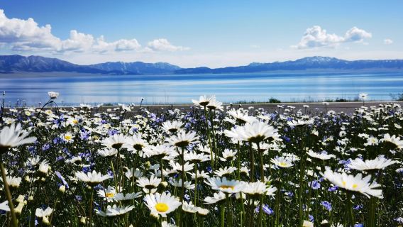 伊犁！說走就走！經典環線打卡景點！