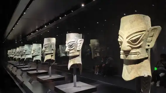 Chengdu Dujiangyan Giant Panda Garden + Sanxingdui Museum (Cute Pet Interaction|Cultural Exploration)