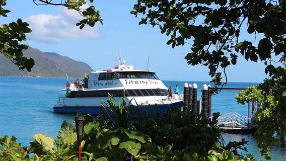 ケアンズ サンラバー号 フィッツロイ島 ワンデーツアー【エメラルド島・オプションでランチ/シュノーケリング】