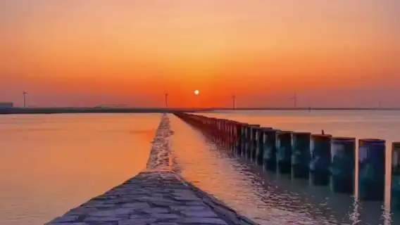 Shanghai Chongming Island 1-day tour [private tour with optional natural attractions/farmhouse dining/folk activities]