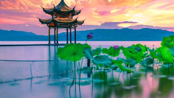 杭州西湖遊船+雷峰塔半日遊【上午/下午/私人導覽純玩導覽含門票