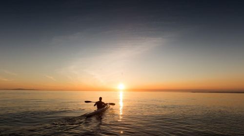Dubai Attraction: Kayak Tour Day Tours 5