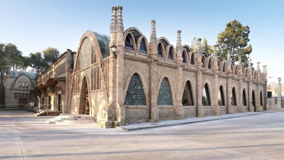 Codorníu Winery: Guided Tour + Cava & Appetizers Tasting
