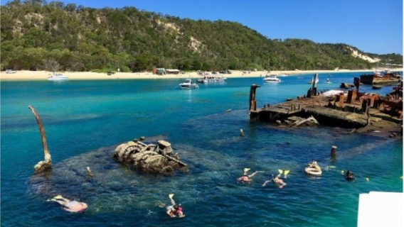 Moreton IslandTours