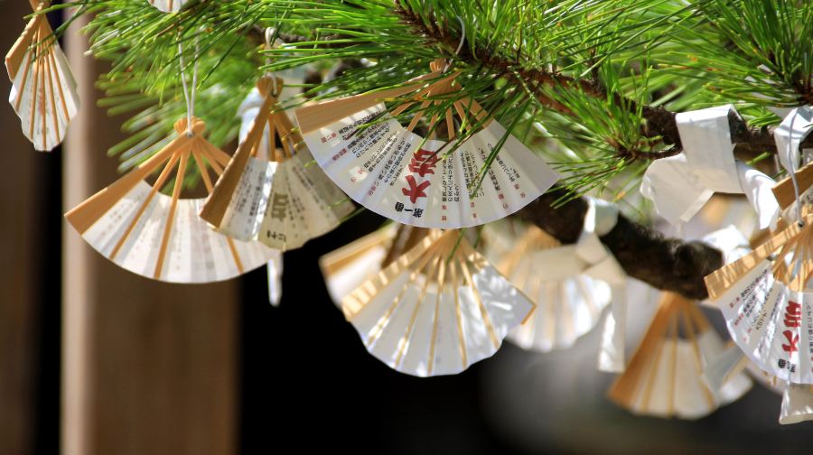【京都小眾一日遊】天橋立+伊根舟屋+伊根灣餵海鷗+智恩寺祈願