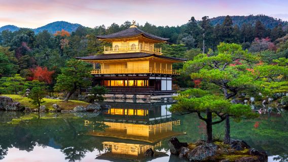Kyoto one-day tour| Nijo Castle + Kinkakuji Temple + Fushimi Inari + Arashiyama Togetsukyo Bridge + Kimono Forest