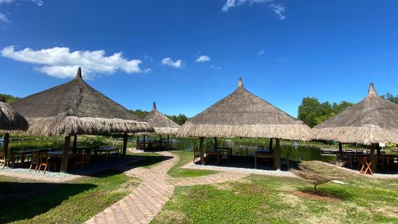 Isola di Bohol, Filippine: tour di un giorno a South Farm, Bee Farm, cena e osservazione delle lucciole