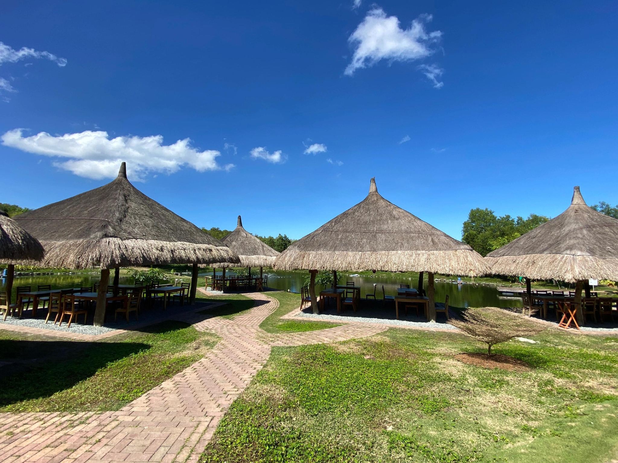 1-day tour to Southern Farms & Bohol Bee Farm Dinner & Firefly Watching on Bohol Island, Philippines