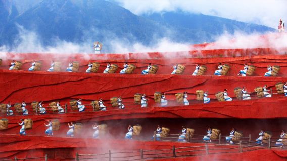 玉龍日遊