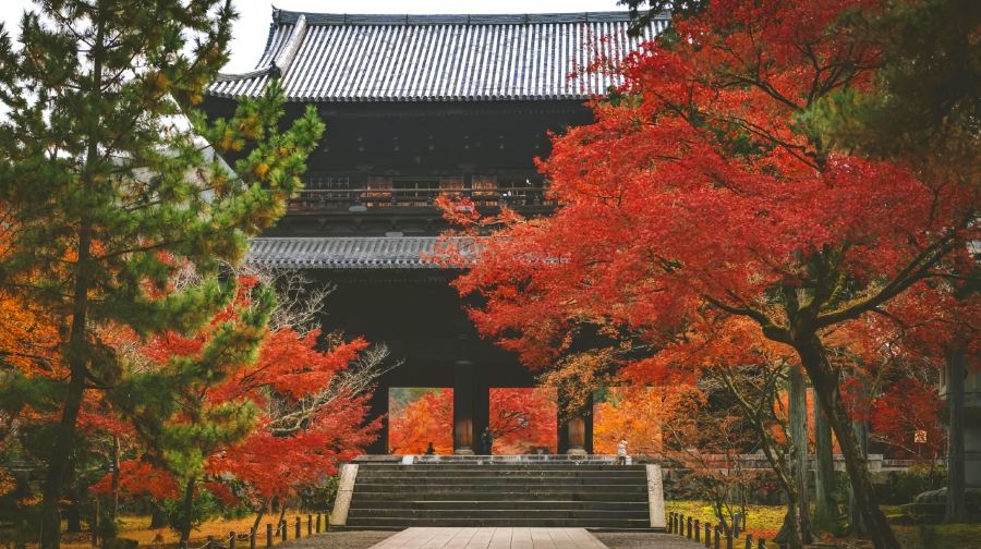 大阪+京都小團一日遊丨紅葉秘境巡禮琉璃光院·三千院·貴船神社