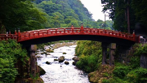 Da Tokyo: escursione guidata di un giorno ai siti patrimonio dell'umanità di Nikko