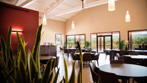“Classic” Tour & Monovarietal Wines Tasting