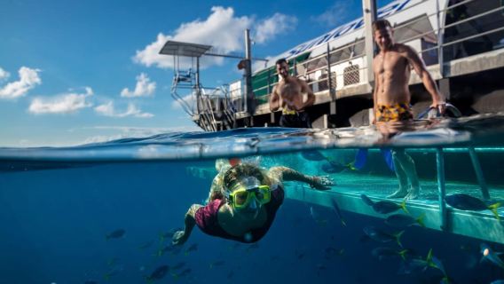 Da Cairns: tour di Moore Reef e Fitzroy Island in elicottero