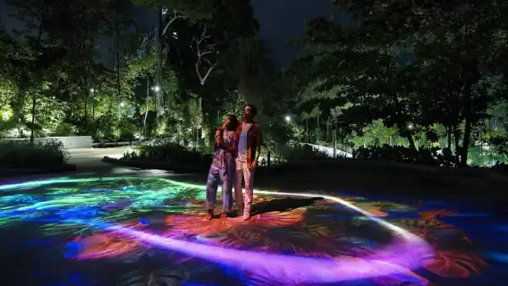 Singapore After Dark:Small Group Sentosa Tour with Cable Car