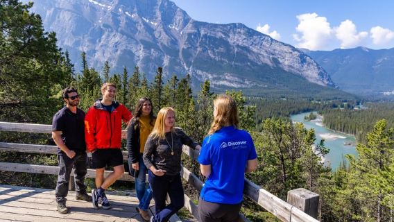 Banff: Wildlife and Sightseeing Minibus Tour