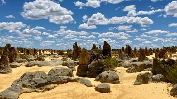 Perth: Pinnacles Desert Bush Walk Guided Tour with Lunch