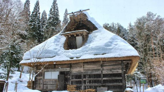 1-Tagestour ab Takayama: Hida Folk Village, Höhlen und Seilbahn