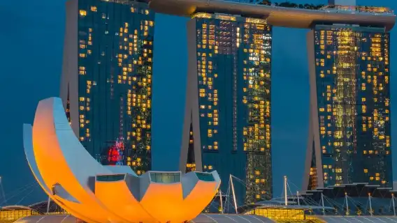諮詢後下單/新加坡濱海灣花園植物園環球影城動物園克拉碼頭/機場/點對點用車/旅遊旅行司導/專車服務