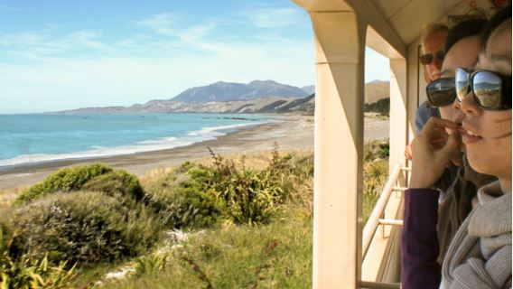 Classic Pacific scenic train tour in New Zealand: Christchurch-Kaikoura-Picton (one-way)
