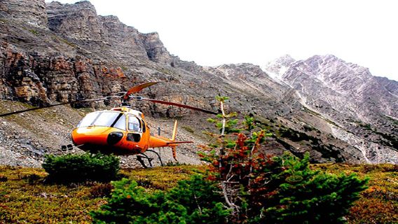 Вертолетная экскурсия по Айсфилдс Парквей