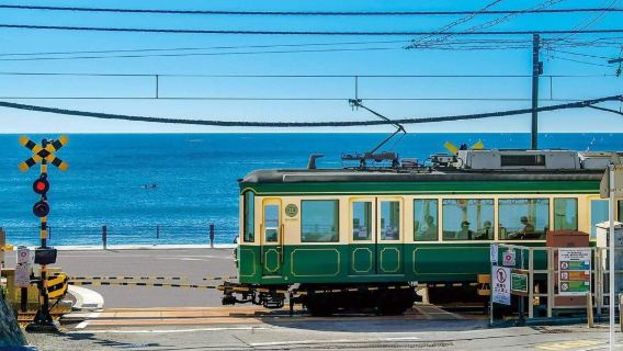 Tagesausflug nach Kamakura, Tokio|9-Personen-Kleingruppe|kostenloses Enoden-Erlebnis