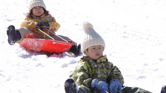 Japan Kobe Rokko Mountain Snow 1-day tour Rokko Mountain Ski Resort Arima Hot Springs Including Park admission ticket+ Snow Basin