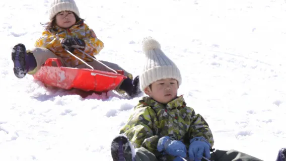 tour 1 ngày tại núi Rokko, Kobe, Nhật Bản, khu nghỉ dưỡng trượt tuyết Rokko, suối nước nóng Arima, bao gồm vé vào cổng vào công viên + bồn tuyết