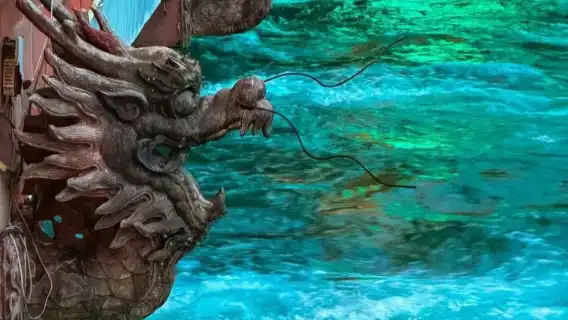 ○ Bipenggou 1-day tour private tour + Nanqiao night view - Car rental service - Explore the natural journey of Western Sichuan