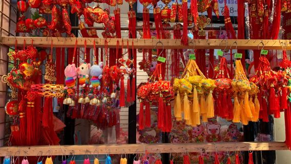New York|Visite guidée française de Greenwich Village à travers Chinatown