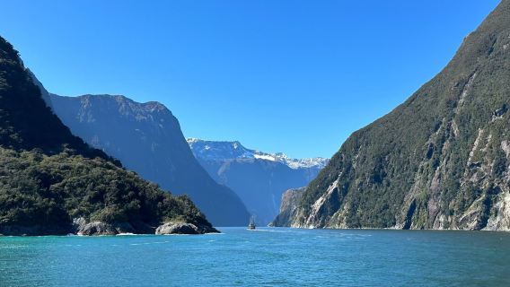 Queenstown Round-Trip: Milford Sound 1-Day Tour ~ Southern Discoveries Cruise