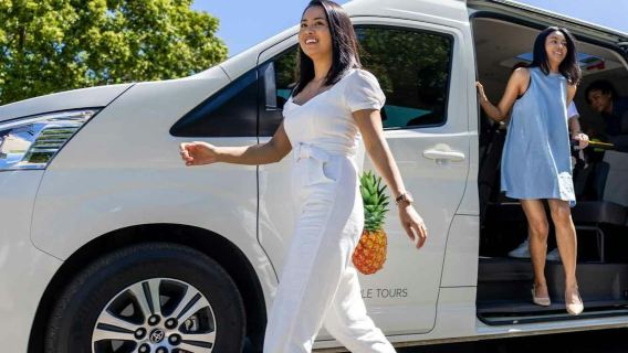 Tamborine Mountain: Guided Hop-on Hop-off Bus Tour from Brisbane + Wine Tasting