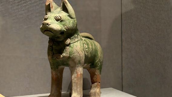 【精品團/私享私人導覽】趣味說&河南博物院2小時深度人員導覽+高清耳麥