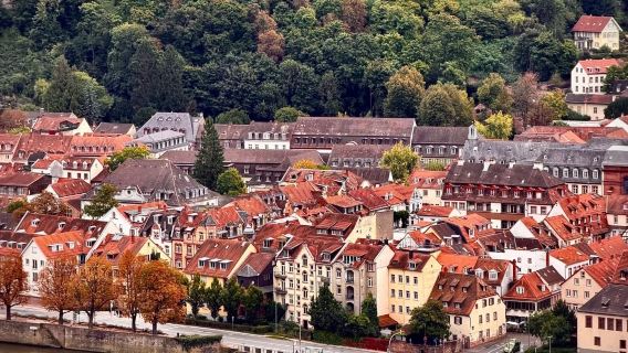 德國法蘭克福來回海德堡城堡-老橋-老城-可周邊多日包車-精選