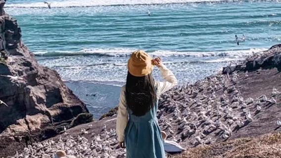 奧克蘭市內精華+鳥島黑沙灘中文團一日遊私人導覽