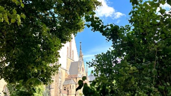 德國萊比錫市區--童話古城-音樂小城-巴赫之城-包車-精選